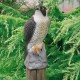 Faucon décoratif H.40cm pour bassins de jardin Ubbink