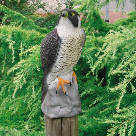 Faucon décoratif H.40cm pour bassins de jardin Ubbink